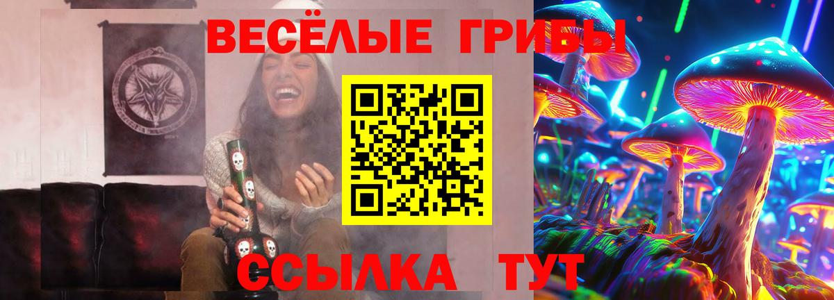 Знаменск  Галлюциногенные грибы GOLDEN TEACHER  Вход с VPN 